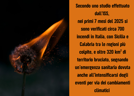 incendi in italia.png